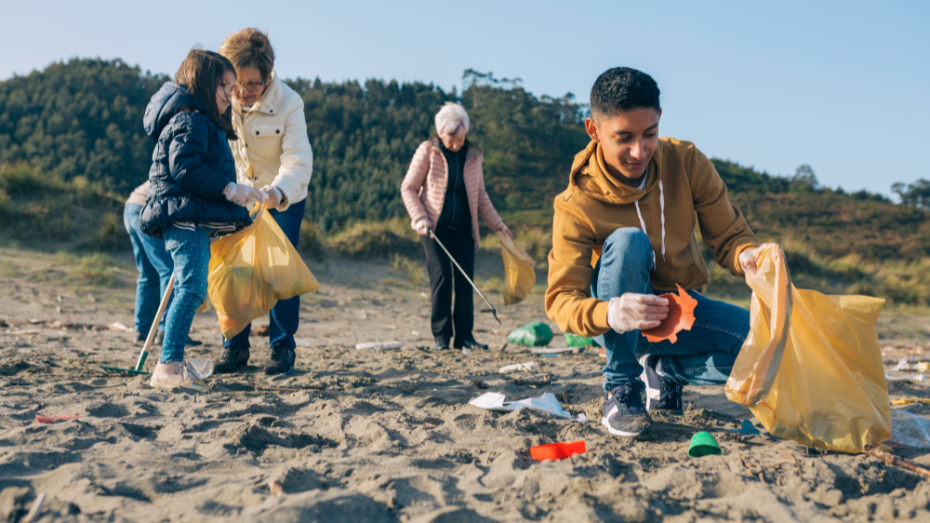 Beach Clean North Devon